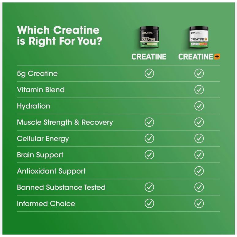 Micronized Creatine Monohydrate Powder 5g | Strength & Recovery | GNH Supplements