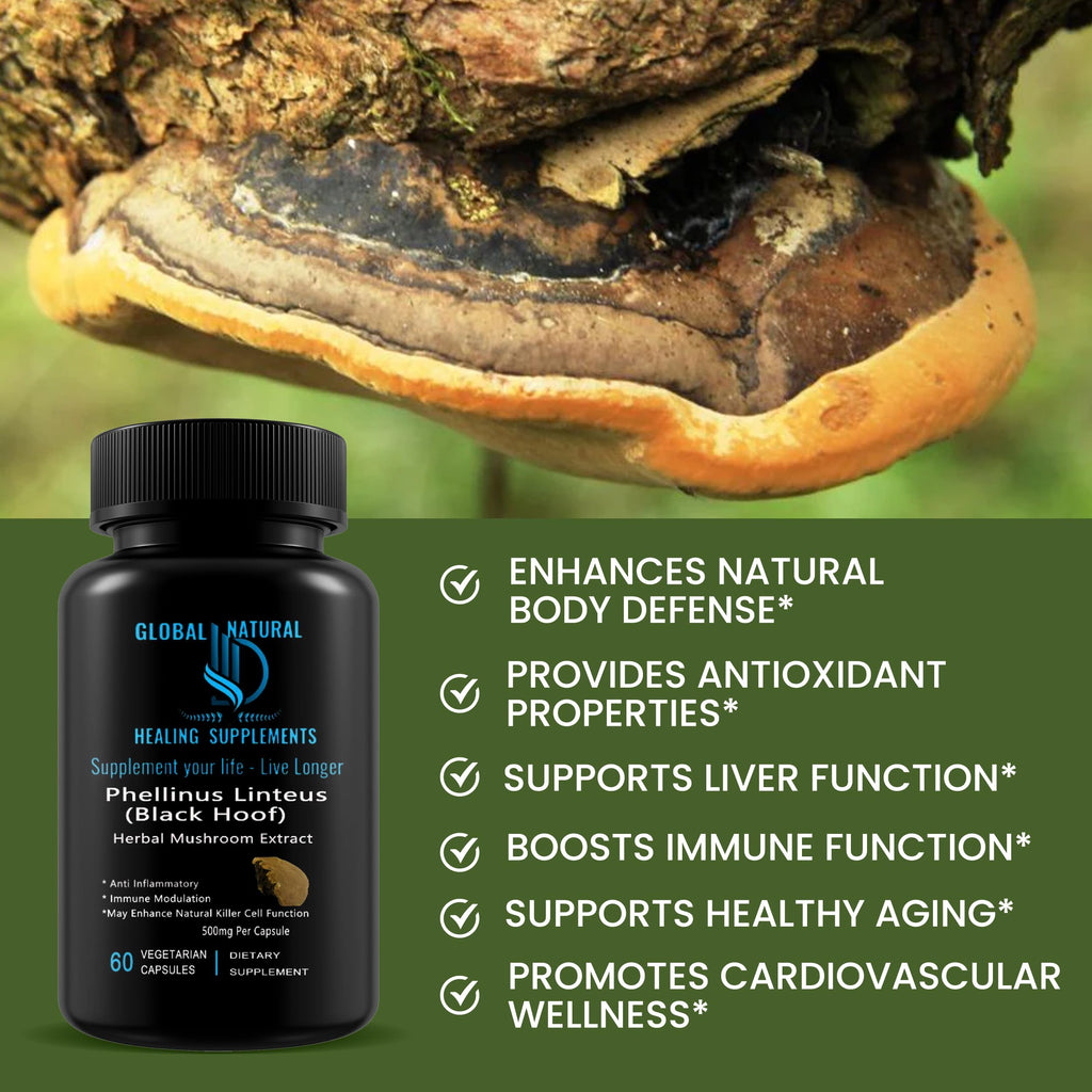 Mesima - Phellinus Linteus Black Hoof Mushroom Extract, 60 Vegan Capsules