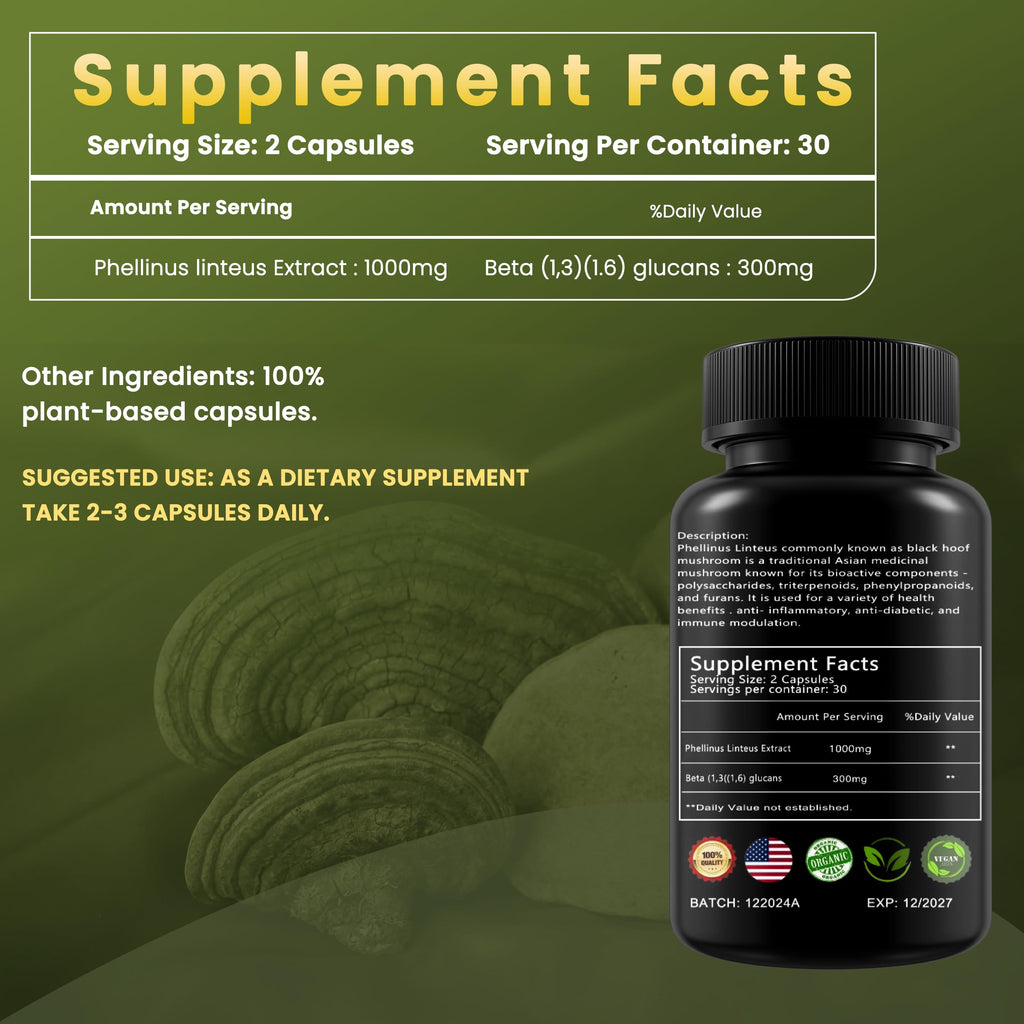 Mesima - Phellinus Linteus Black Hoof Mushroom Extract, 60 Vegan Capsules