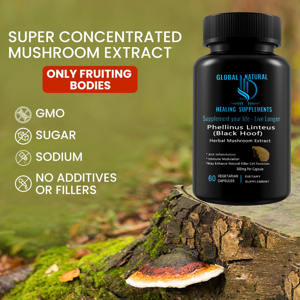 Mesima - Phellinus Linteus Black Hoof Mushroom Extract, 60 Vegan Capsules