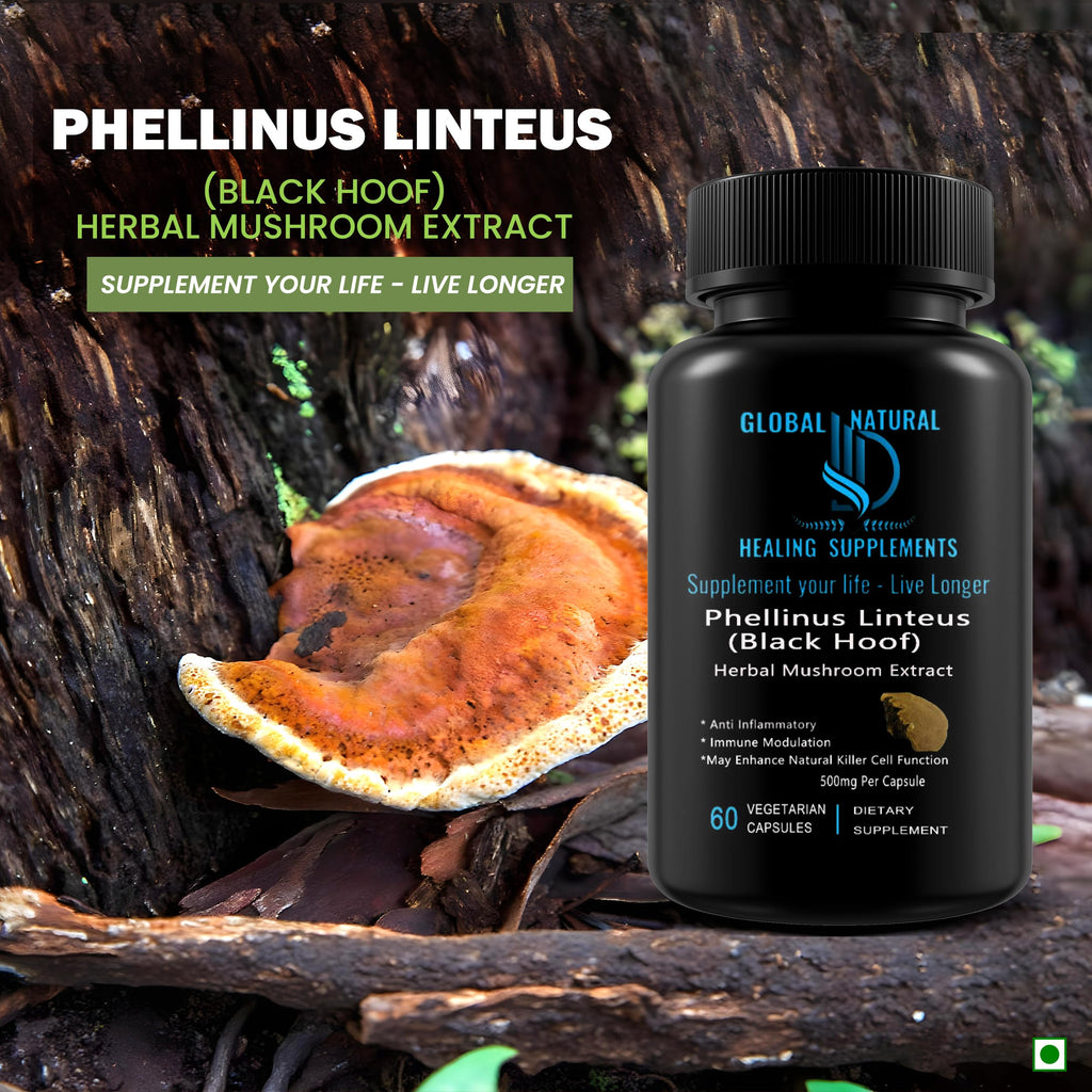 Mesima - Phellinus Linteus Black Hoof Mushroom Extract, 60 Vegan Capsules