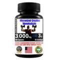 Creatine Capsules 3000mg | 180 Vegan Capsules | Energy, Brain & Longevity | GNH Supplements